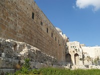 SDC10195