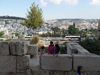 SDC10198