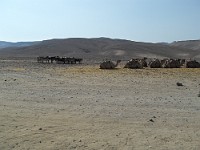 SDC10244