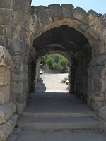 SDC10276