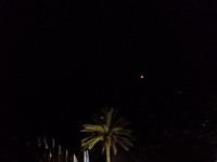 SDC10305