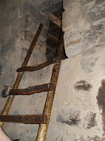 SDC10328