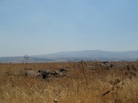 SDC10333