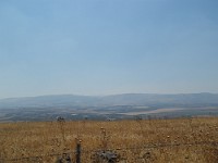 SDC10334