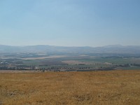 SDC10335