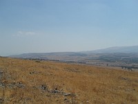 SDC10337