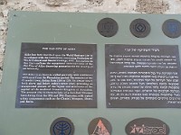 SDC10396