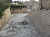 SDC10419