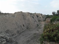 SDC10421