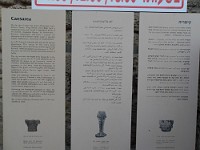 SDC10422
