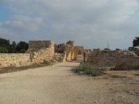 SDC10423