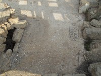 SDC10424