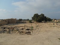 SDC10427
