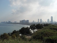 SDC10430