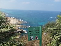 SDC10345
