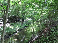IMG_0025