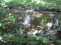 IMG_0026