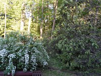 slides/SDC10631.JPG SDC10631