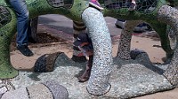 IMG_00000016