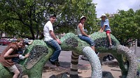 IMG_00000017