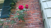 IMG_00000059