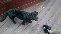 IMG_00000066