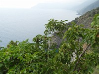 SDC11471