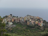 SDC11480