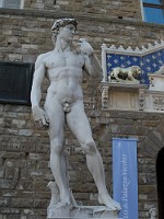 SDC11219