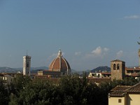 SDC11447