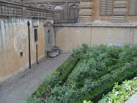SDC11453