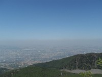 SDC11599
