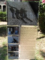 SDC11621