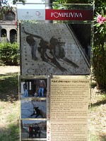 SDC11622