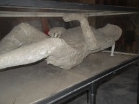 SDC11645