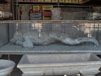 SDC11669