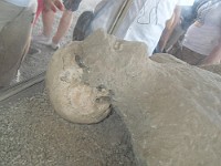 SDC11671