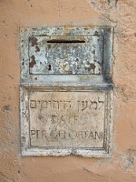 SDC11572