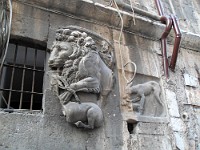 SDC11575