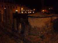 SDC11581