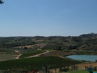 SDC11370