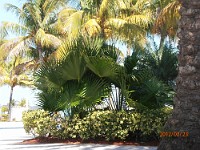 P2230534