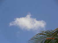 P2230562