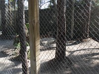 SDC10887