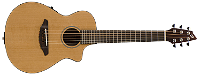 Adam Plays Guitar