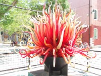 SDC11062