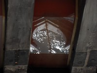 SDC11126