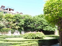 SDC11135