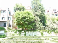 SDC11136