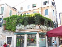 SDC11149